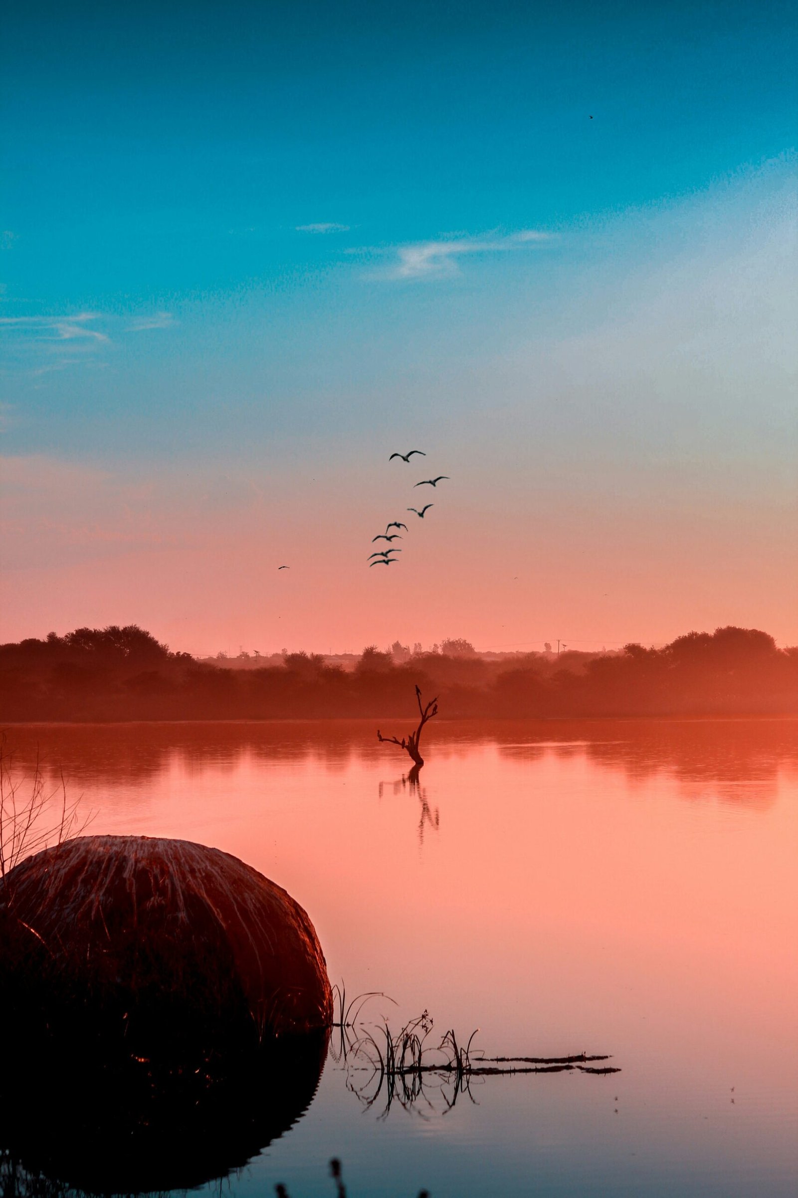 Okavango Delta region, Botswana